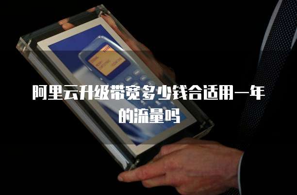 阿里云升级带宽多少钱合适用一年的流量吗