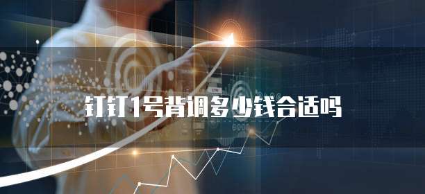 钉钉1号背调多少钱合适吗