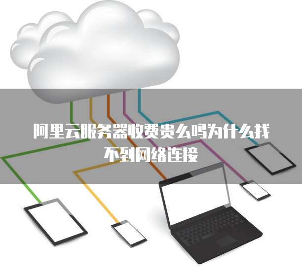 阿里云服务器收费贵么吗为什么找不到网络连接