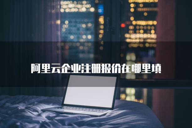 阿里云企业注册报价在哪里填