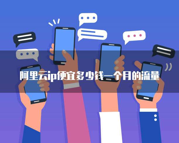 阿里云ip便宜多少钱一个月的流量