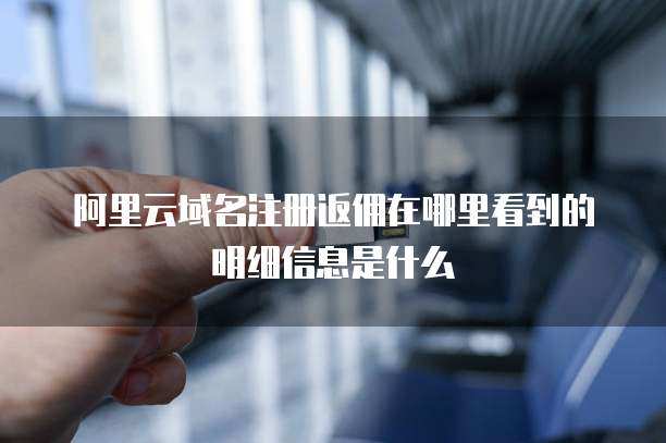 阿里云域名注册返佣在哪里看到的明细信息是什么