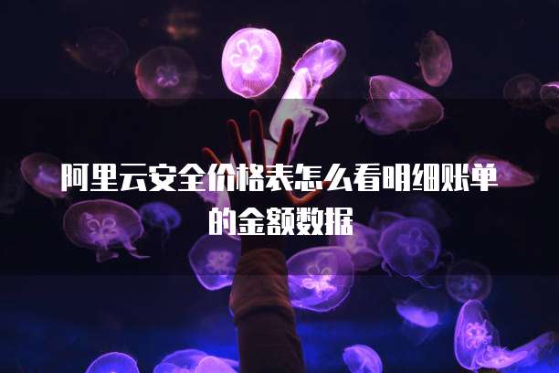 阿里云安全价格表怎么看明细账单的金额数据