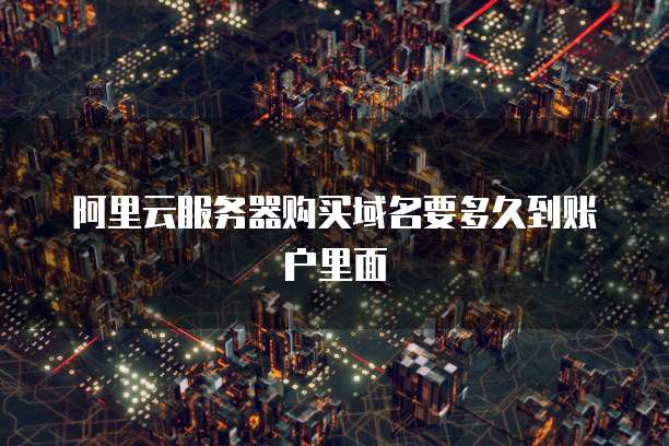 阿里云服务器购买域名要多久到账户里面