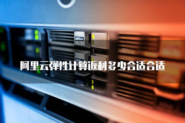阿里云弹性计算返利多少合适合适