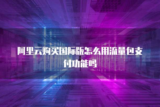 阿里云购买国际版怎么用流量包支付功能吗