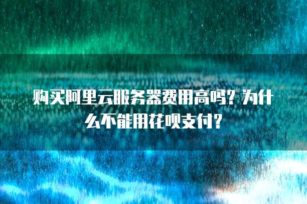 购买阿里云服务器费用高吗?为什么不能用花呗支付?