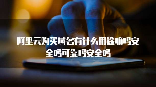 阿里云购买域名有什么用途嘛吗安全吗可靠吗安全吗