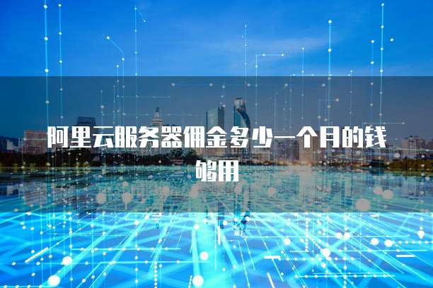 阿里云服务器佣金多少一个月的钱够用