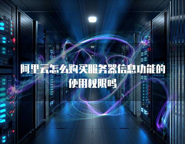 阿里云怎么购买服务器信息功能的使用权限吗