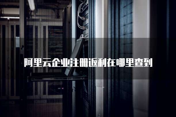 阿里云企业注册返利在哪里查到