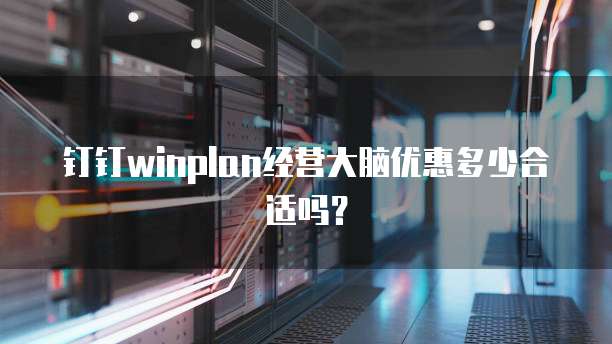 钉钉winplan经营大脑优惠多少合适吗？