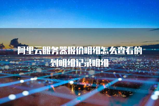阿里云服务器报价明细怎么查看的到明细记录明细