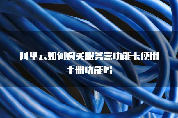 阿里云如何购买服务器功能卡使用手册功能吗