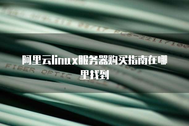 阿里云linux服务器购买指南在哪里找到
