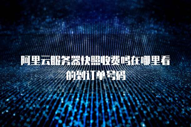 阿里云服务器快照收费吗在哪里看的到订单号码