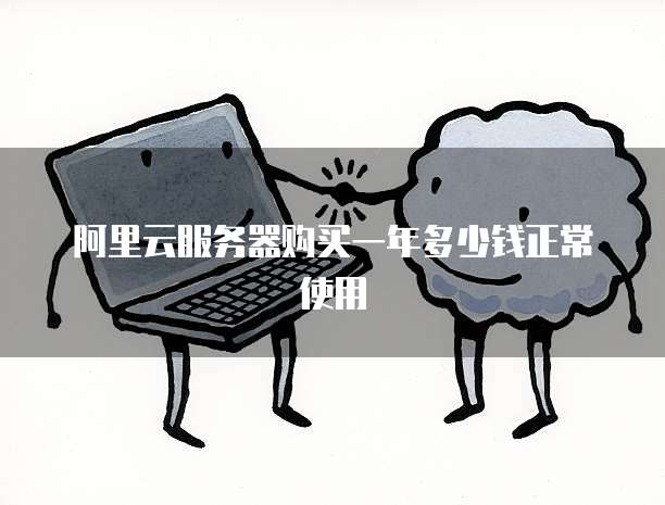 阿里云服务器购买一年多少钱正常使用