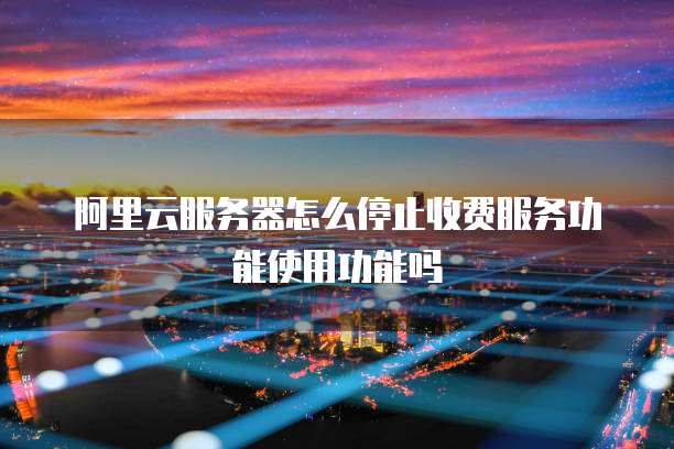 阿里云服务器怎么停止收费服务功能使用功能吗