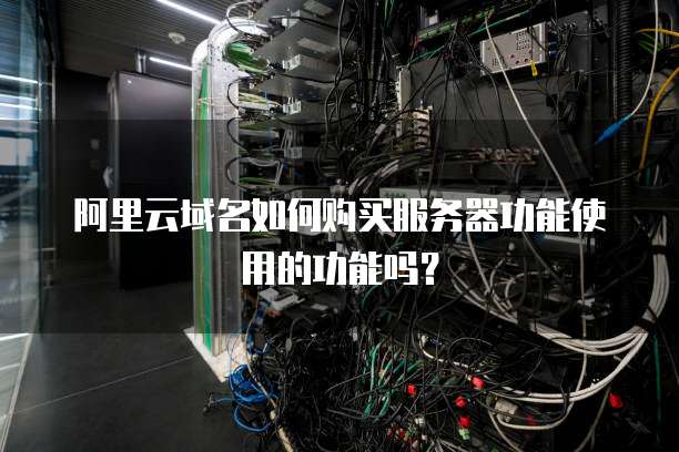 阿里云域名如何购买服务器功能使用的功能吗?