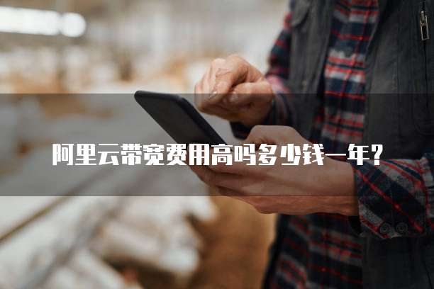 阿里云带宽费用高吗多少钱一年？