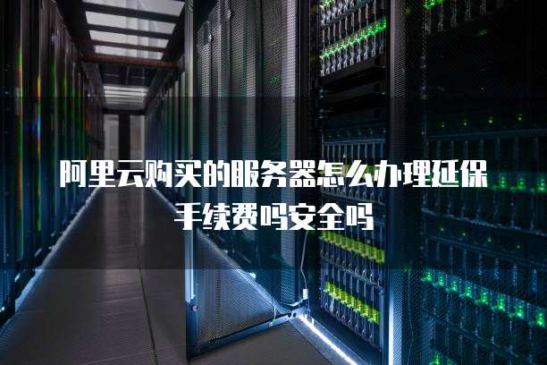 阿里云购买的服务器怎么办理延保手续费吗安全吗