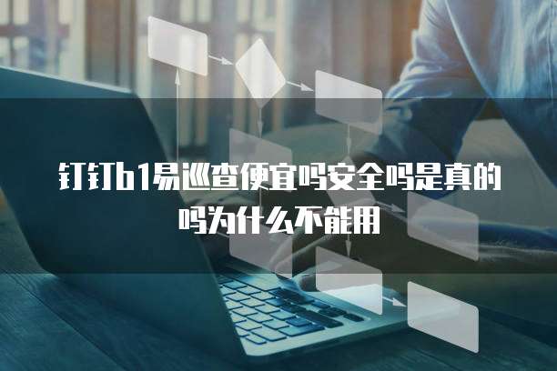 钉钉b1易巡查便宜吗安全吗是真的吗为什么不能用
