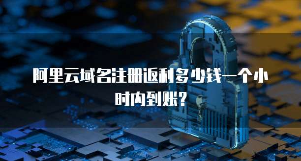 阿里云域名注册返利多少钱一个小时内到账?