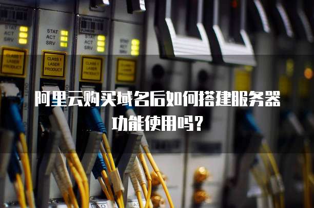 阿里云购买域名后如何搭建服务器功能使用吗？