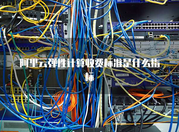 阿里云弹性计算收费标准是什么指标