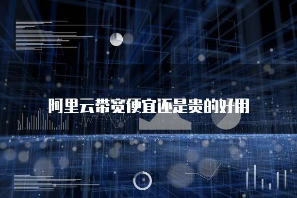 阿里云带宽便宜还是贵的好用
