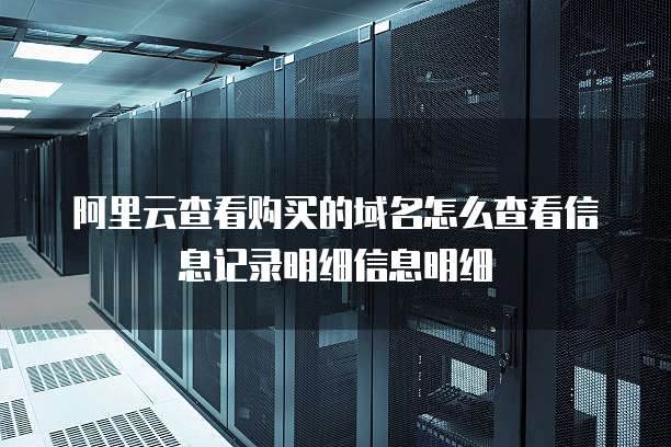 阿里云查看购买的域名怎么查看信息记录明细信息明细
