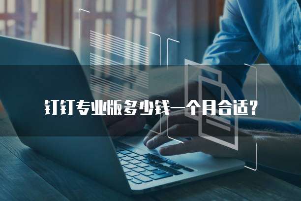 钉钉专业版多少钱一个月合适?