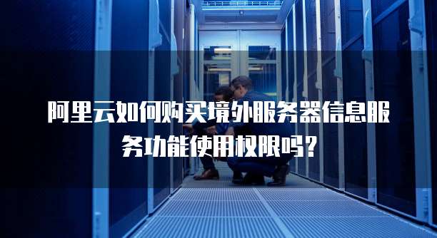阿里云如何购买境外服务器信息服务功能使用权限吗?