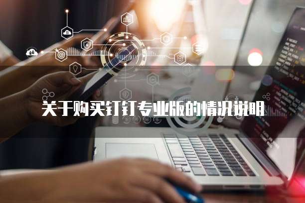 关于购买钉钉专业版的情况说明