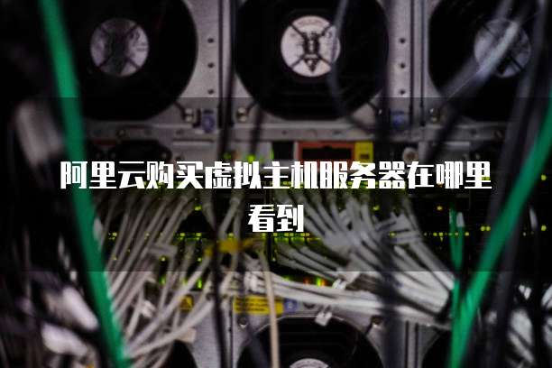 阿里云购买虚拟主机服务器在哪里看到