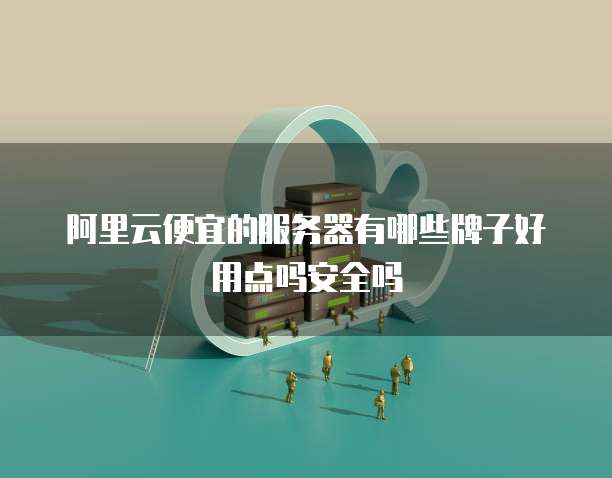 阿里云便宜的服务器有哪些牌子好用点吗安全吗