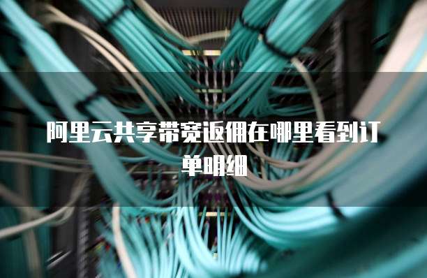 阿里云共享带宽返佣在哪里看到订单明细