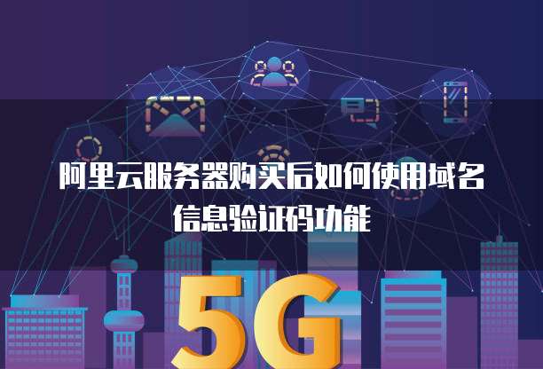 阿里云服务器购买后如何使用域名信息验证码功能