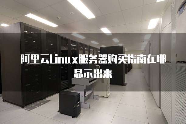 阿里云Linux服务器购买指南在哪显示出来