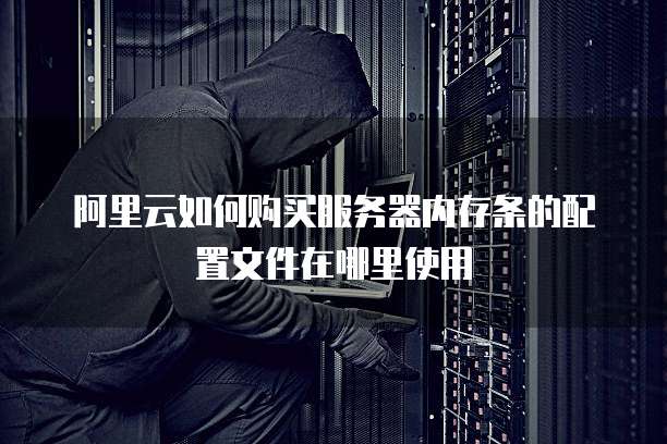 阿里云如何购买服务器内存条的配置文件在哪里使用