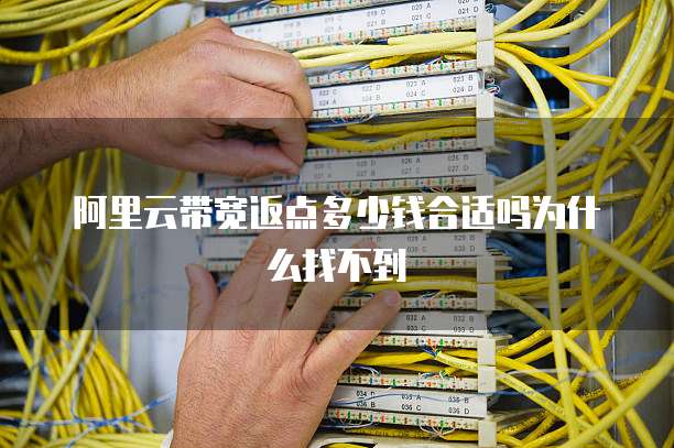阿里云带宽返点多少钱合适吗为什么找不到