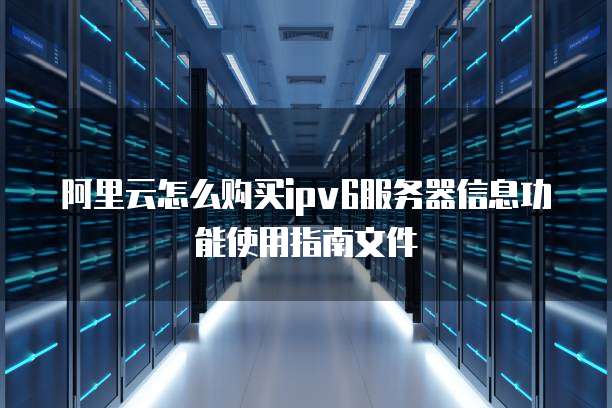 阿里云怎么购买ipv6服务器信息功能使用指南文件