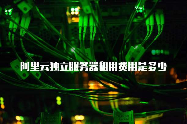 阿里云独立服务器租用费用是多少