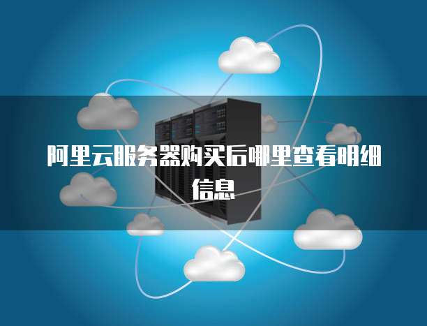 阿里云服务器购买后哪里查看明细信息