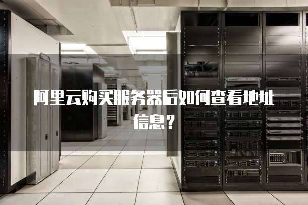 阿里云购买服务器后如何查看地址信息?