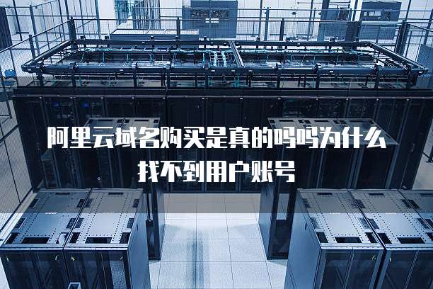 阿里云域名购买是真的吗吗为什么找不到用户账号