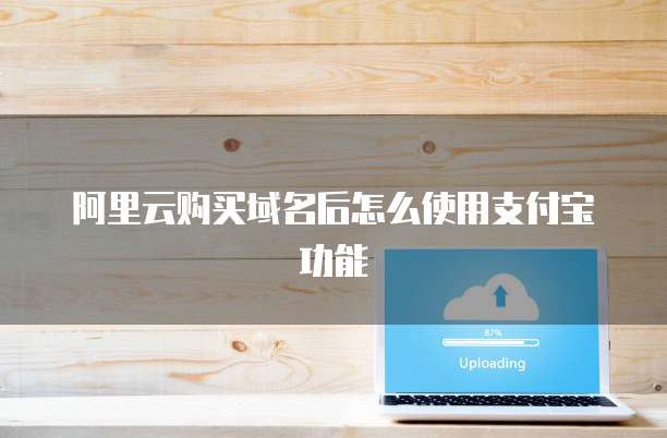 阿里云购买域名后怎么使用支付宝功能
