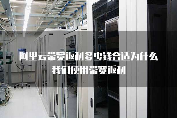 阿里云带宽返利多少钱合适为什么我们使用带宽返利