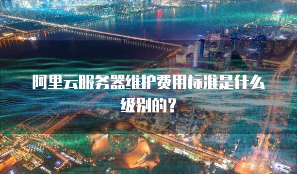 阿里云服务器维护费用标准是什么级别的?