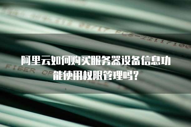 阿里云如何购买服务器设备信息功能使用权限管理吗?